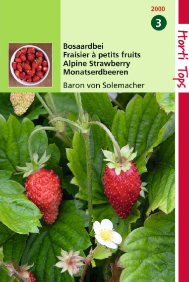 Alpine Strawberry Baron von Solemacher (Fragaria) 850 seeds HT